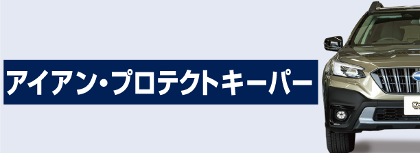 ボディガラスコーティング Wダイヤモンドキーパー