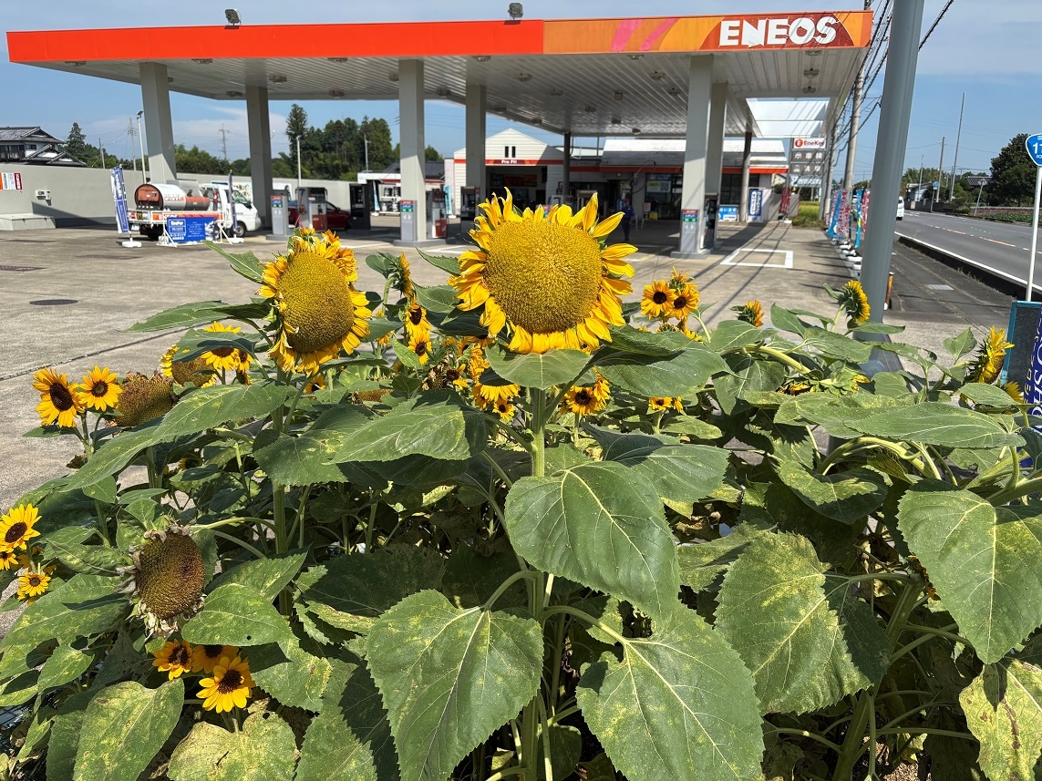 那珂インターSS 株式会社吉田石油